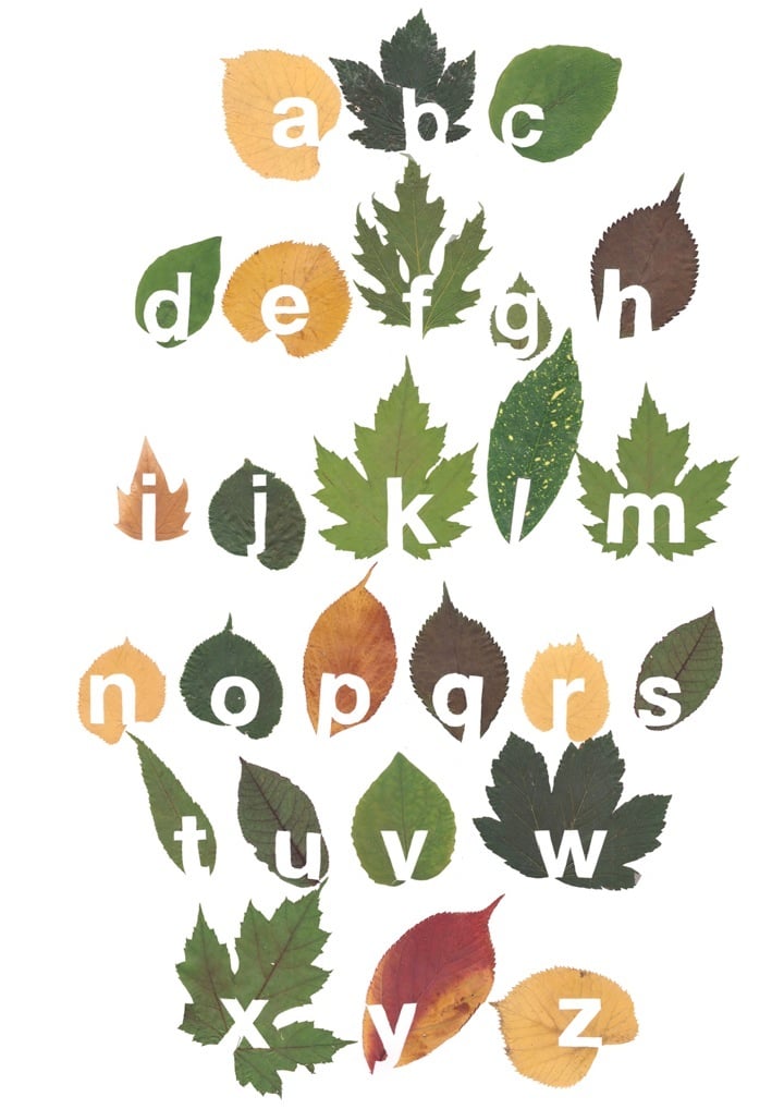 Leaf Alphabet IGNANT