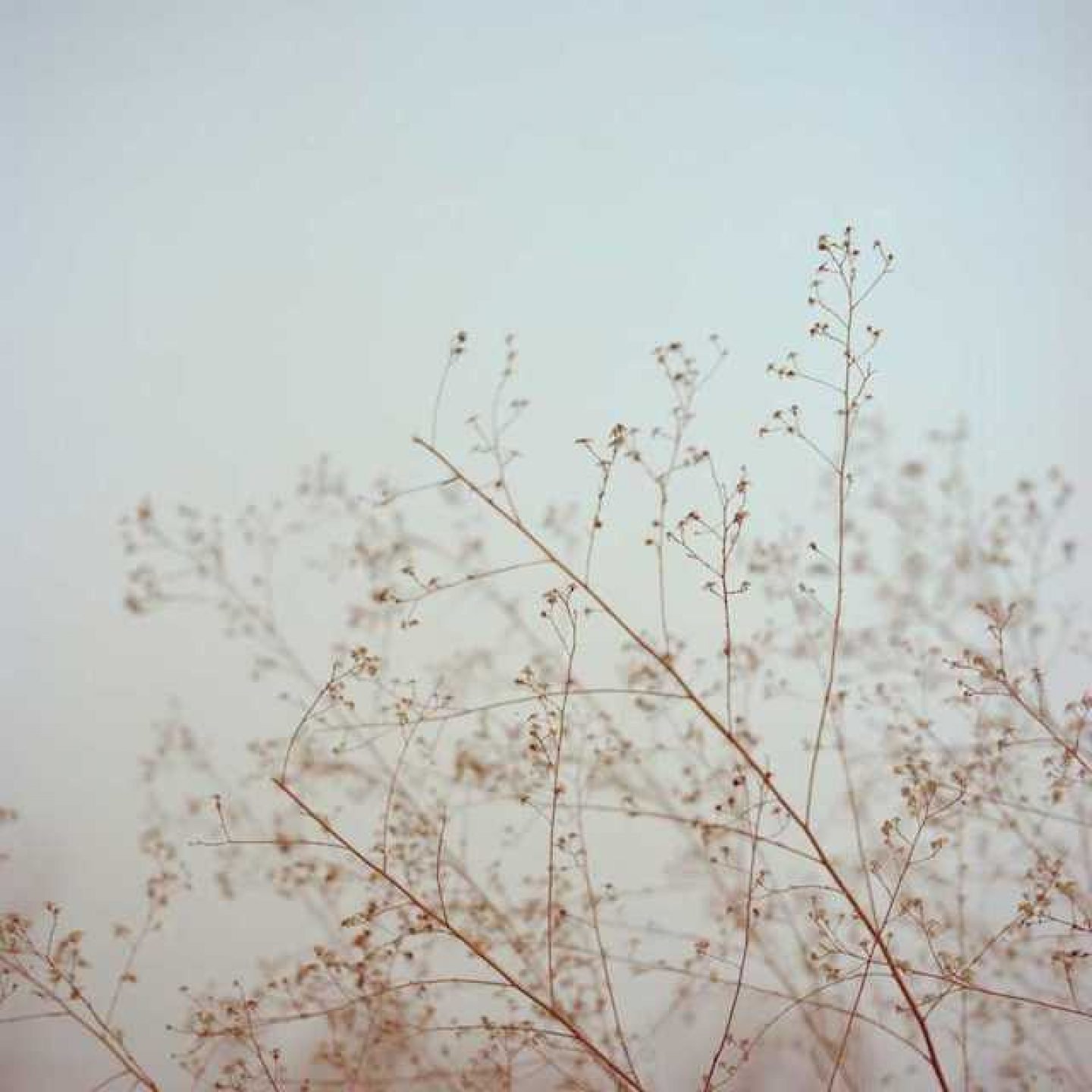 Dreamy photography by Du Yang - IGNANT