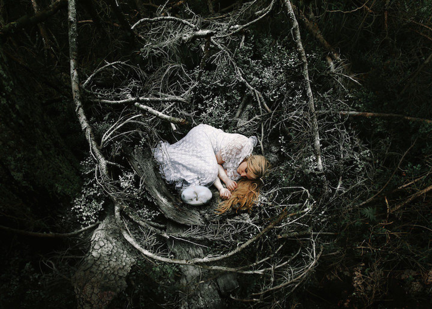 The Daydreams and Fairytales of Katharina Jung - IGNANT