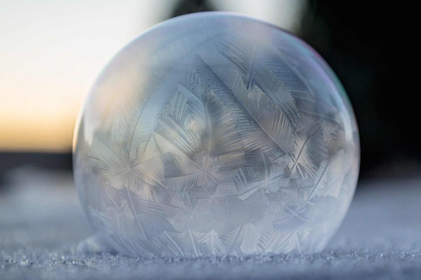 Frozen in a Bubble by Angela Kelly - IGNANT