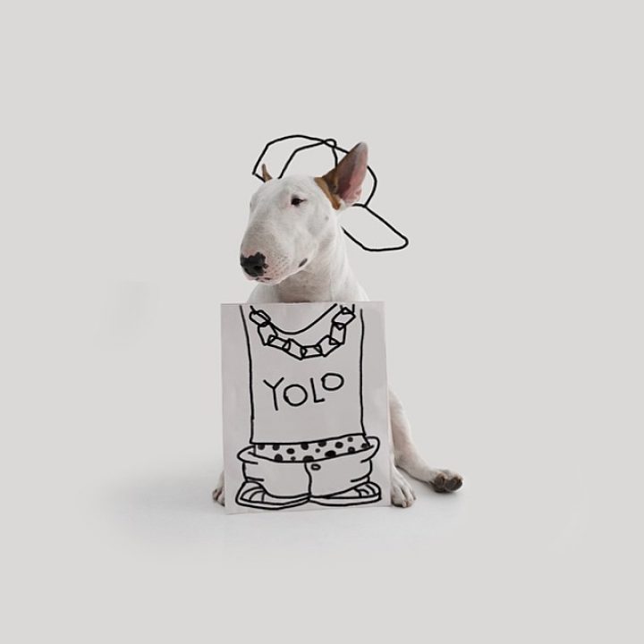 Creative Dog Owner Puts His Pet In Funny, Hand-Drawn Scenes - IGNANT