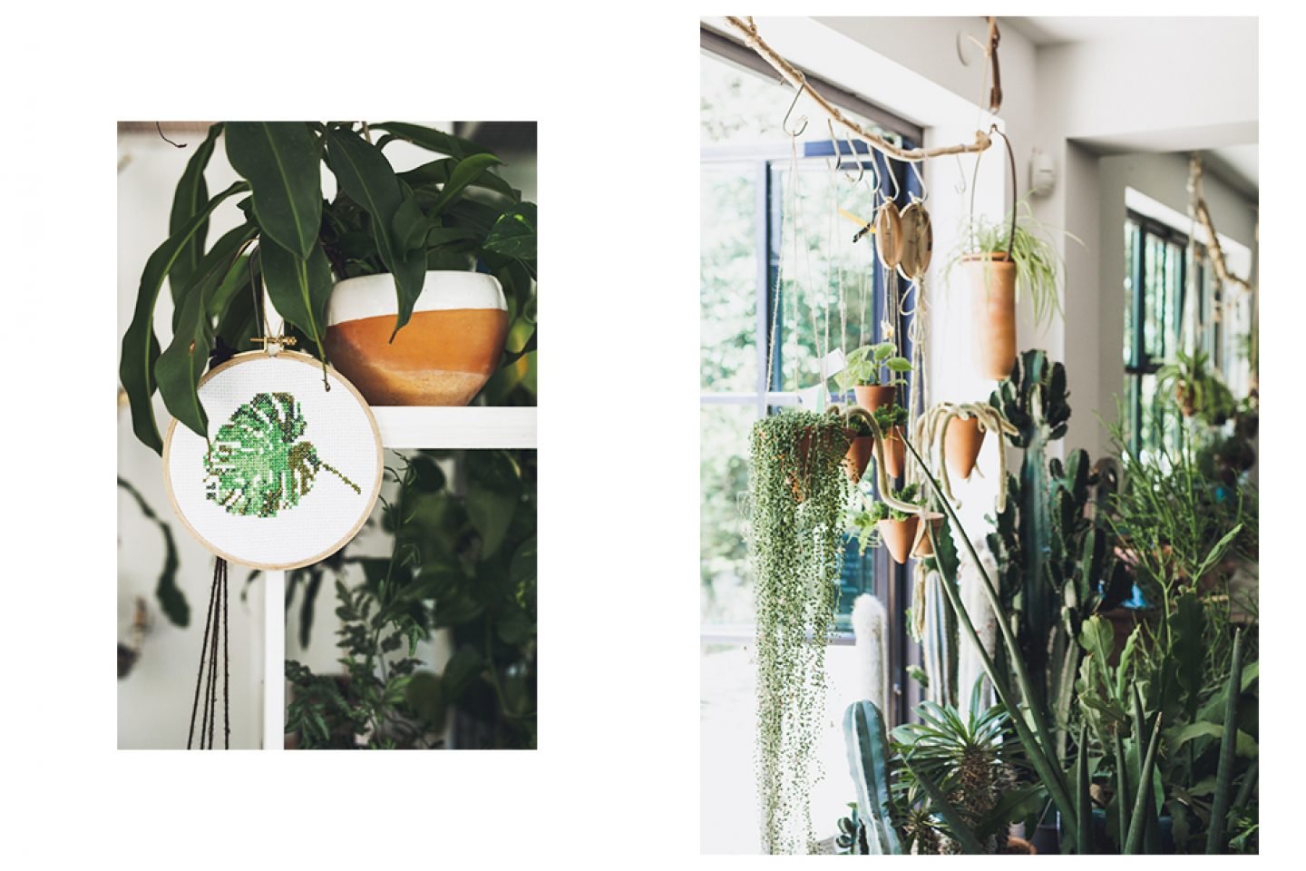 Enchanting Botanicals And Ceramic Pots At Labofem · Istanbul - IGNANT