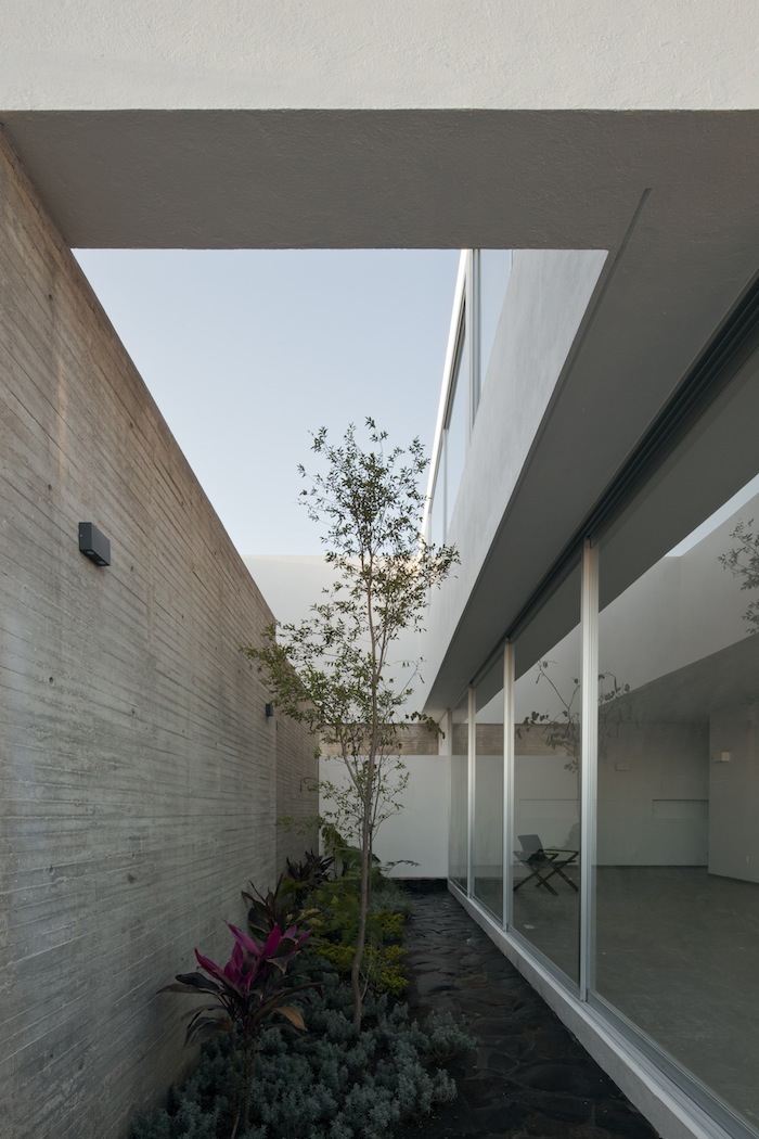 A House To See The Sky By Abraham Cota Paredes Arquitectos - IGNANT