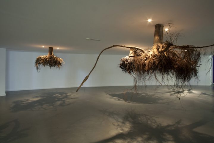 Tree Root Chandeliers By Artist Giuseppe Licari - IGNANT