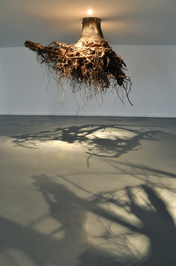 Tree Root Chandeliers By Artist Giuseppe Licari - IGNANT