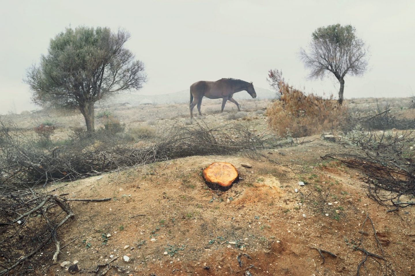 Photographer Petros Koublis Captures Enchanting Landscapes - IGNANT