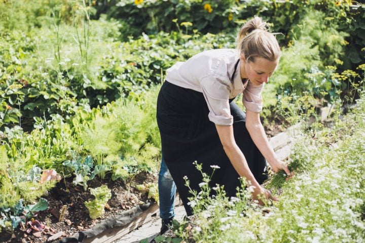 Stedsans Rooftop Farm Restaurant · Copenhagen - Ignant