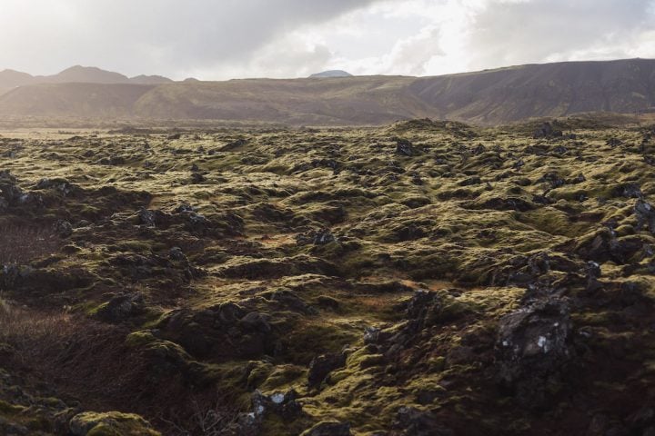 A Road Trip Along The Icelandic Coast - IGNANT