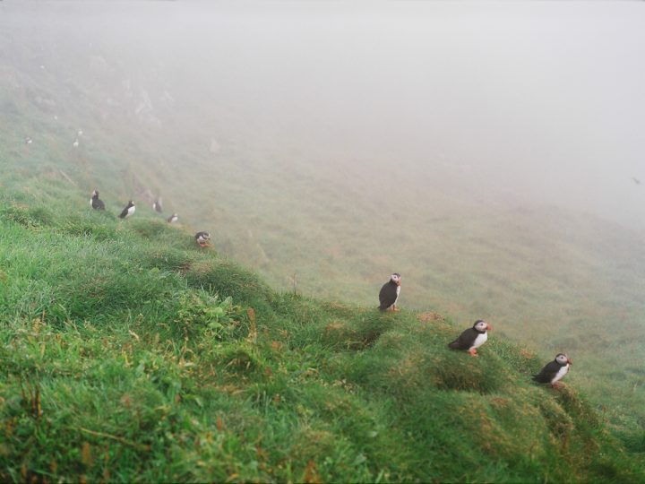 A Trip To The Faroe Islands - IGNANT