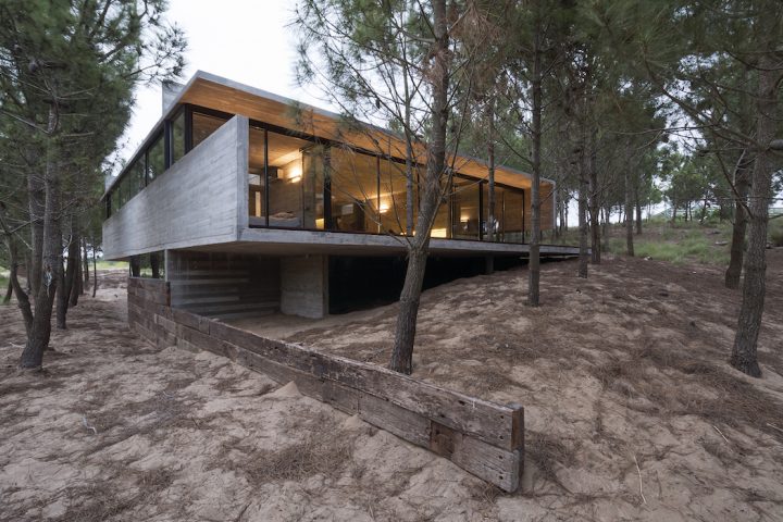 A Raw Concrete Abode Nestled Into A Pine Forest - IGNANT