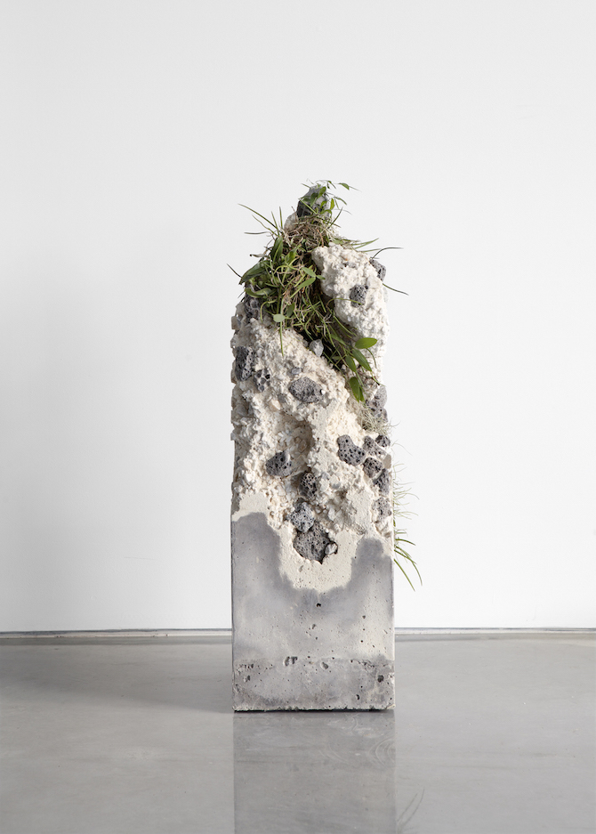 Jamie North Fills Concrete With Australian Plants - IGNANT