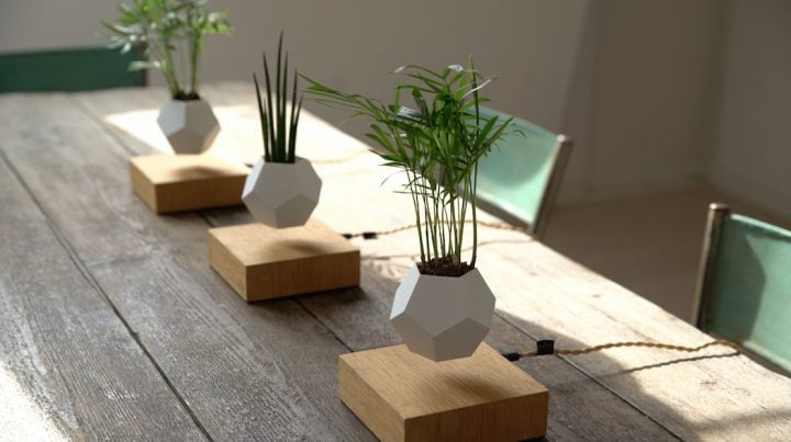 Let Your Plants Levitate With 'lyfe' - Ignant