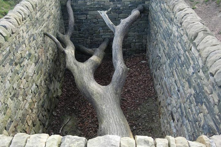 Andy Goldsworthys Land Art Photography IGNANT