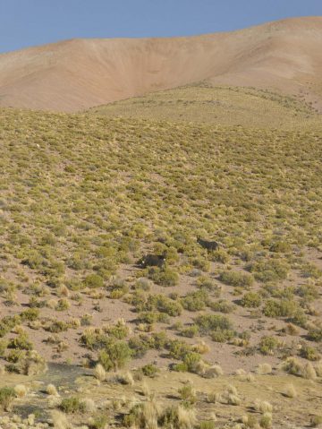 A Roadtrip Across Bolivia With Anke Nunheim - Ignant