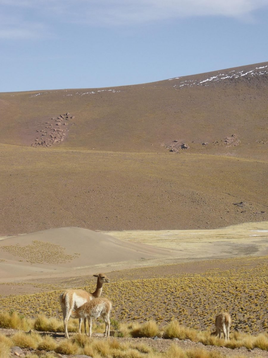 A Roadtrip Across Bolivia With Anke Nunheim - IGNANT