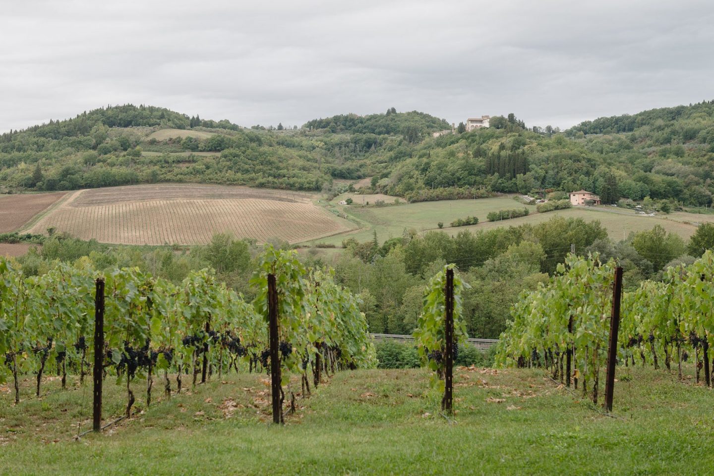Exploring Architecture And Wine At The Antinori Chianti Classico Winery ...