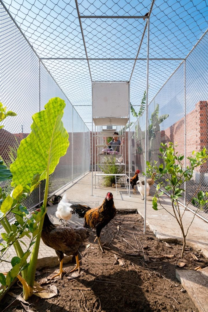 Free As A Bird: Tropical Space Designs A Chicken's House - IGNANT