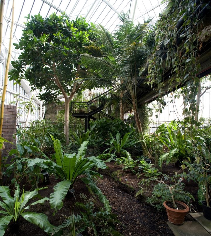 Barbican Conservatory · London, UK - IGNANT