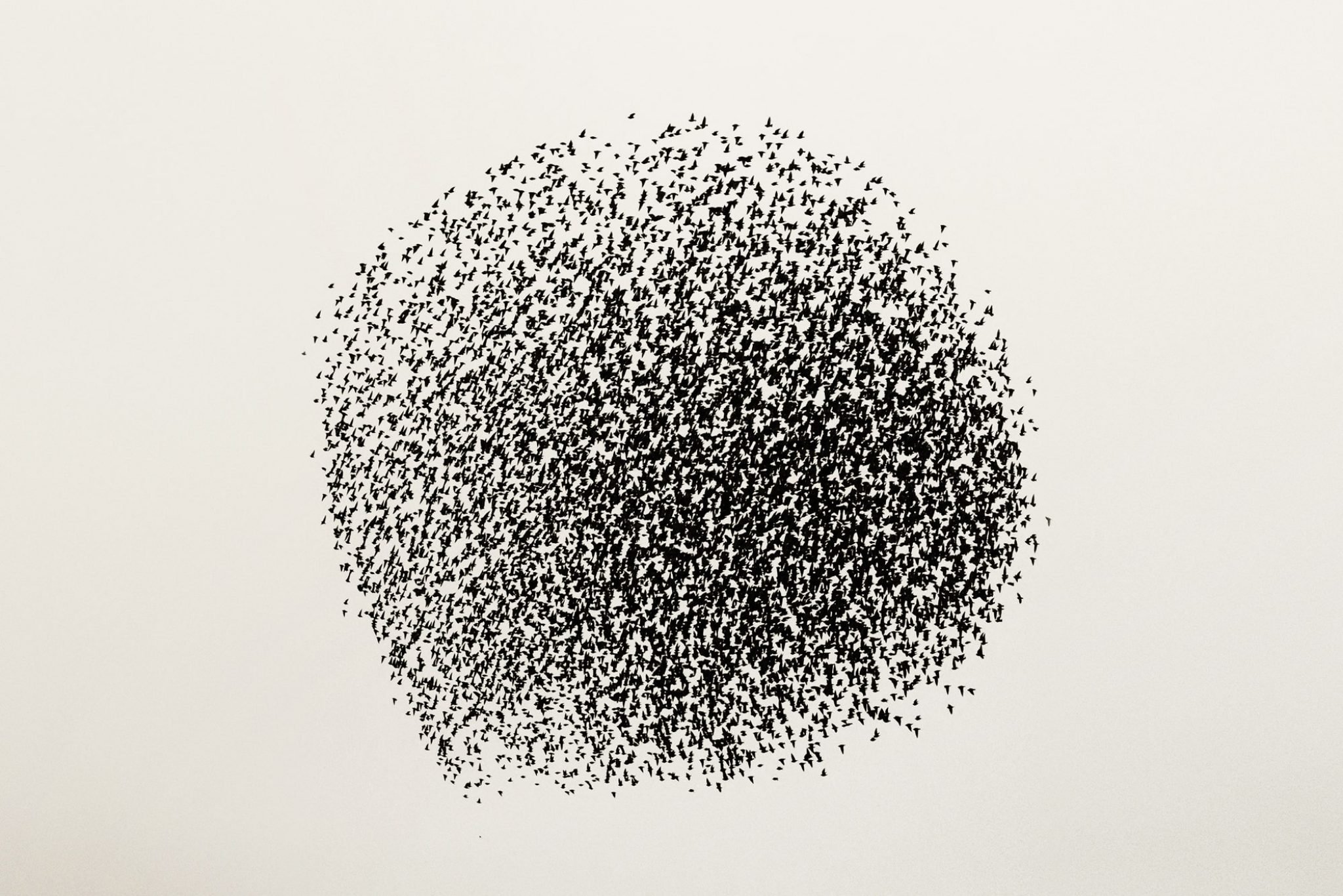 Black Sun: Søren Solkær’s Captivating Record Of The Swirling Displays ...